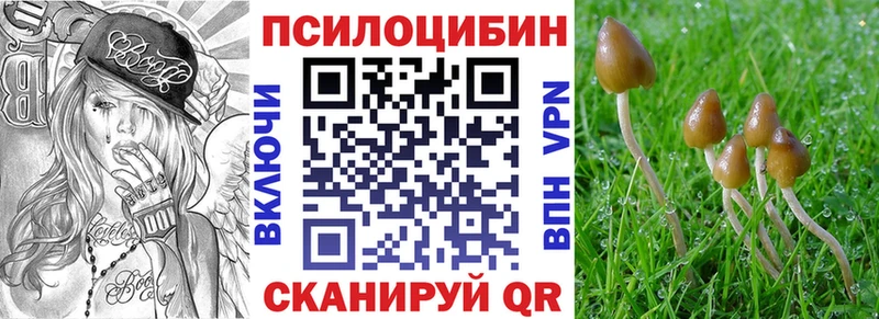 Купить  Коммунар  Галлюциногенные грибы мухоморы 
